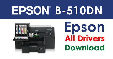 Epson B-510DN Driver Installation and Troubleshooting Guide